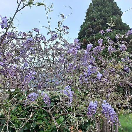 Nonna By Interhome Holiday home *