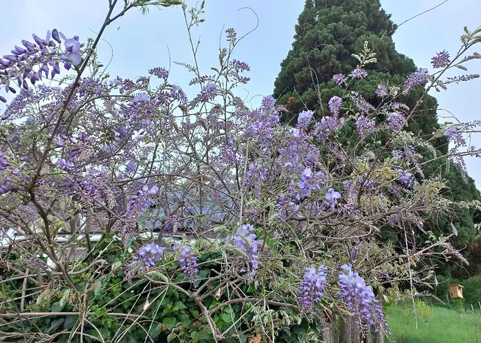 Nonna By Interhome Дом отдыха *